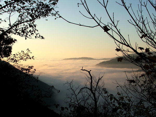 Un mare.........di nebbia