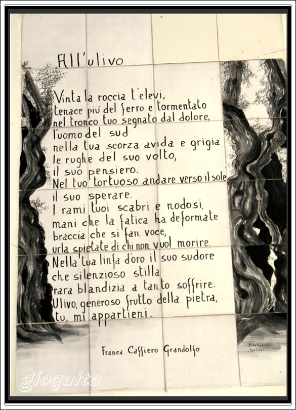 Raccolta e molitura delle olive