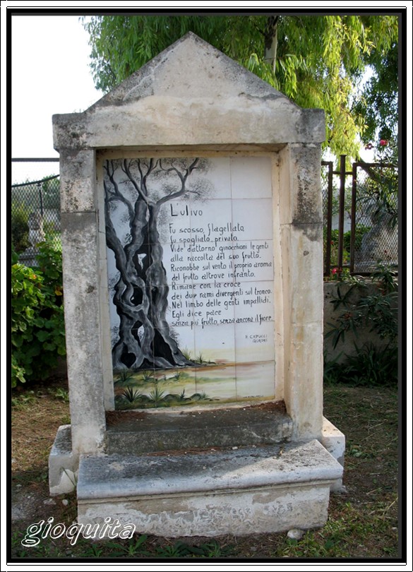 Raccolta e molitura delle olive