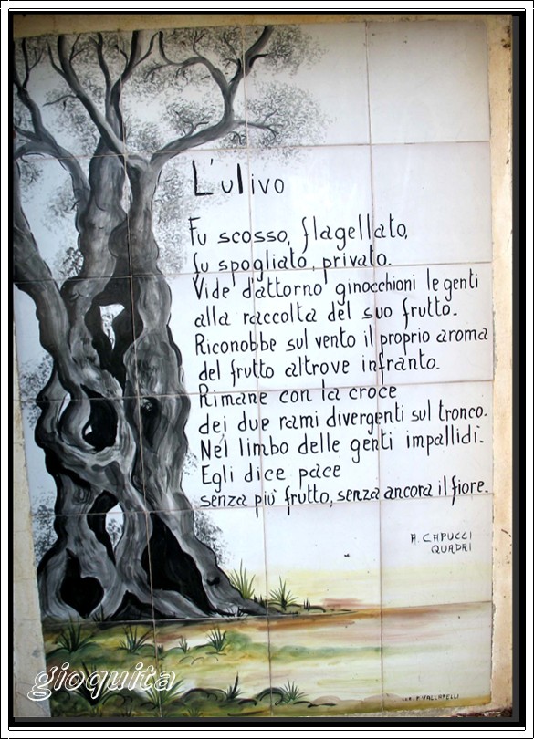 Raccolta e molitura delle olive
