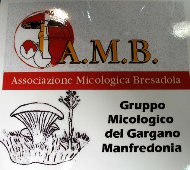 Mostra funghi a Manfredonia (Gargano, Puglia)