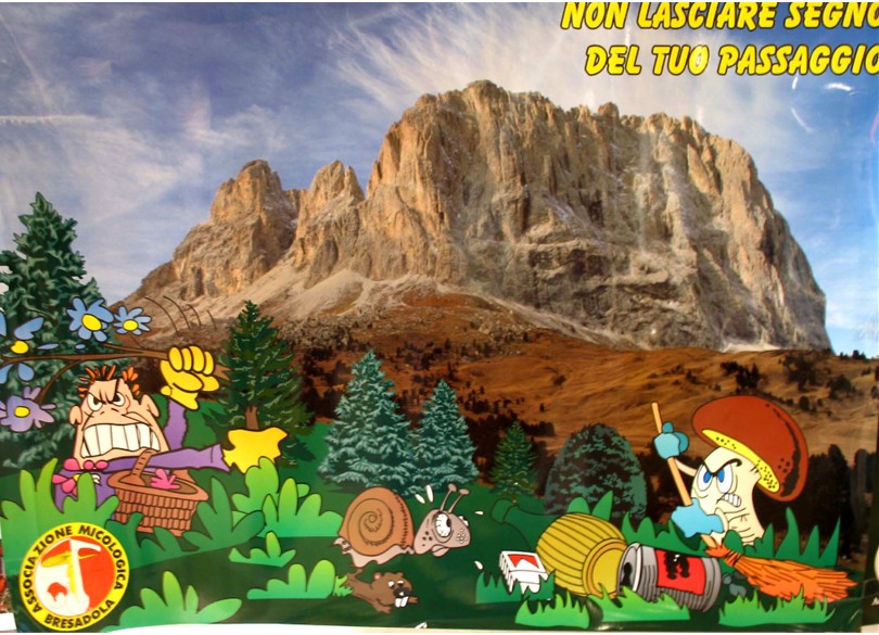 Mostra funghi a Manfredonia (Gargano, Puglia)
