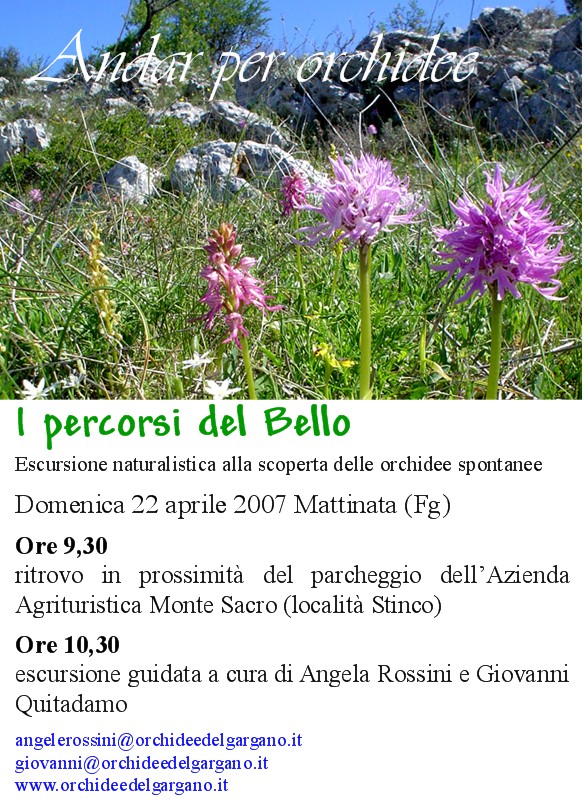 MATTINATA: ANDAR PER ORCHIDEE - 22 APRILE 2007