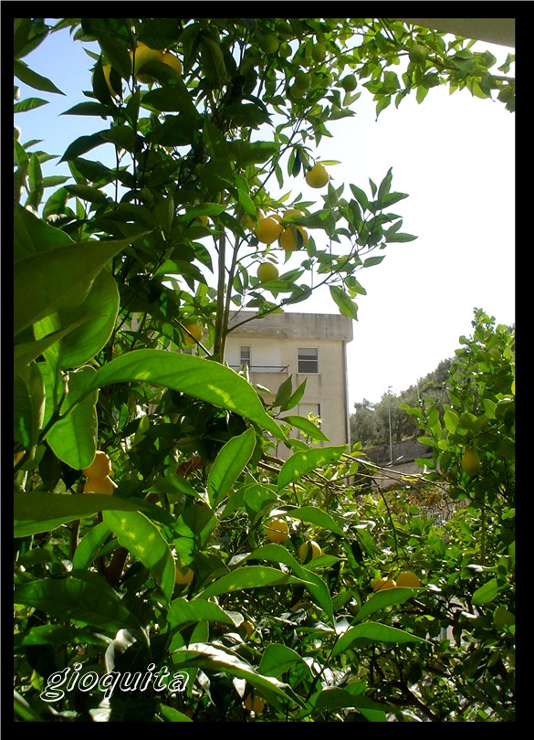 Cosa vedi da ..........