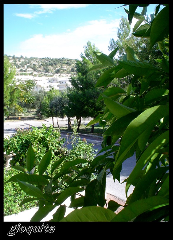 Cosa vedi da ..........