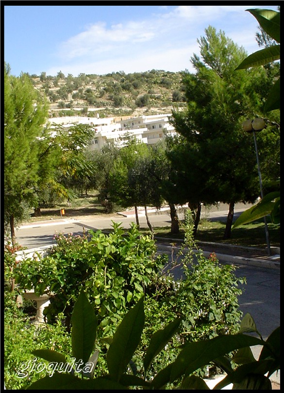 Cosa vedi da ..........