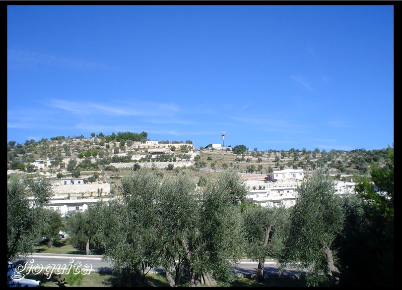 Cosa vedi da ..........