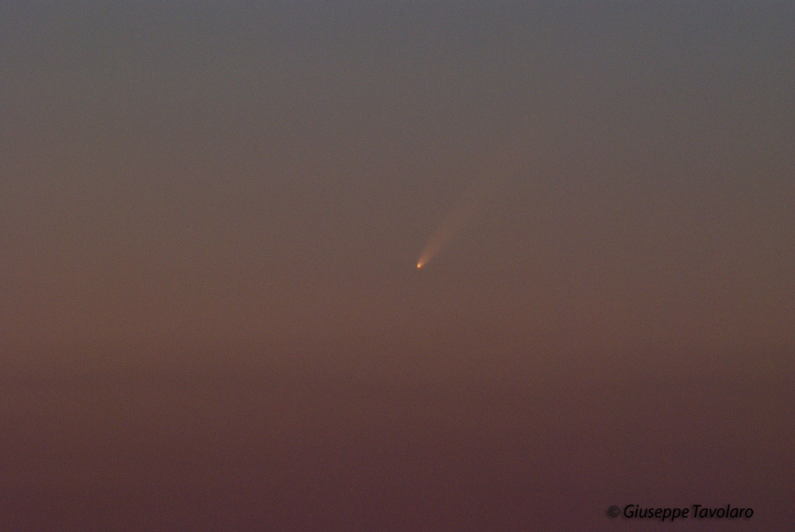 Cometa di McNaught.