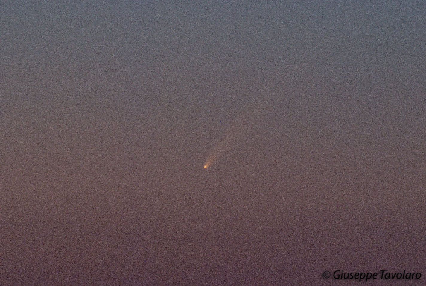 Cometa di McNaught.