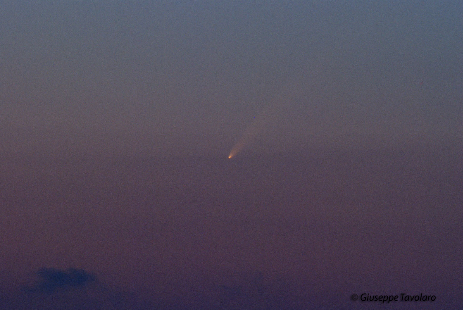 Cometa di McNaught.