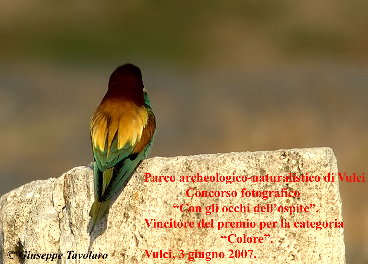 Concorso fotografico Parco di Vulci.