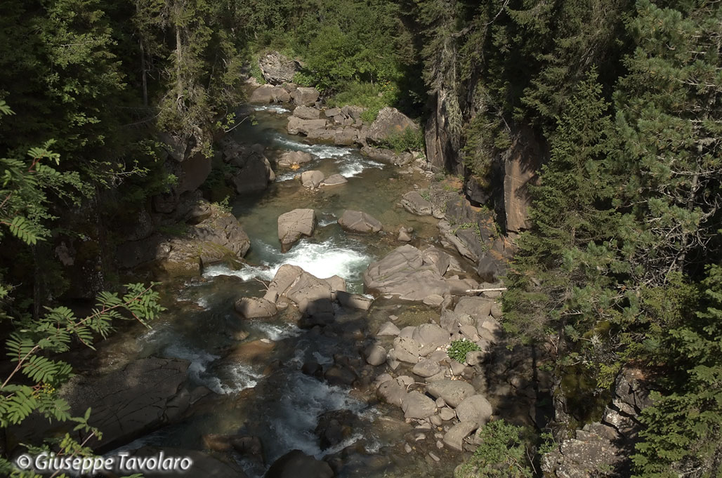 Parco di Paneveggio.