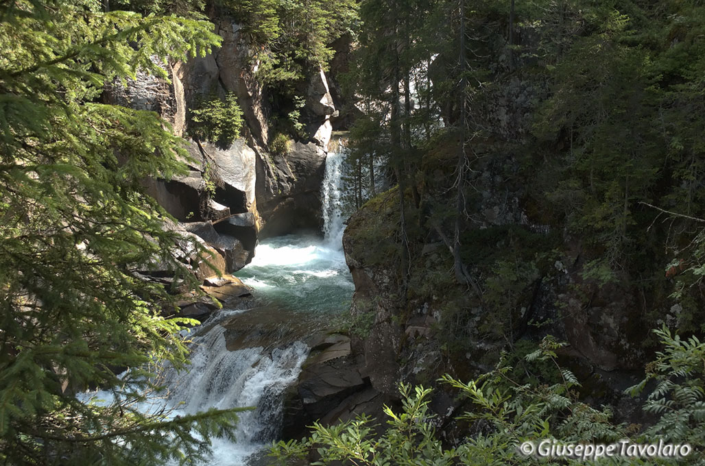 Parco di Paneveggio.