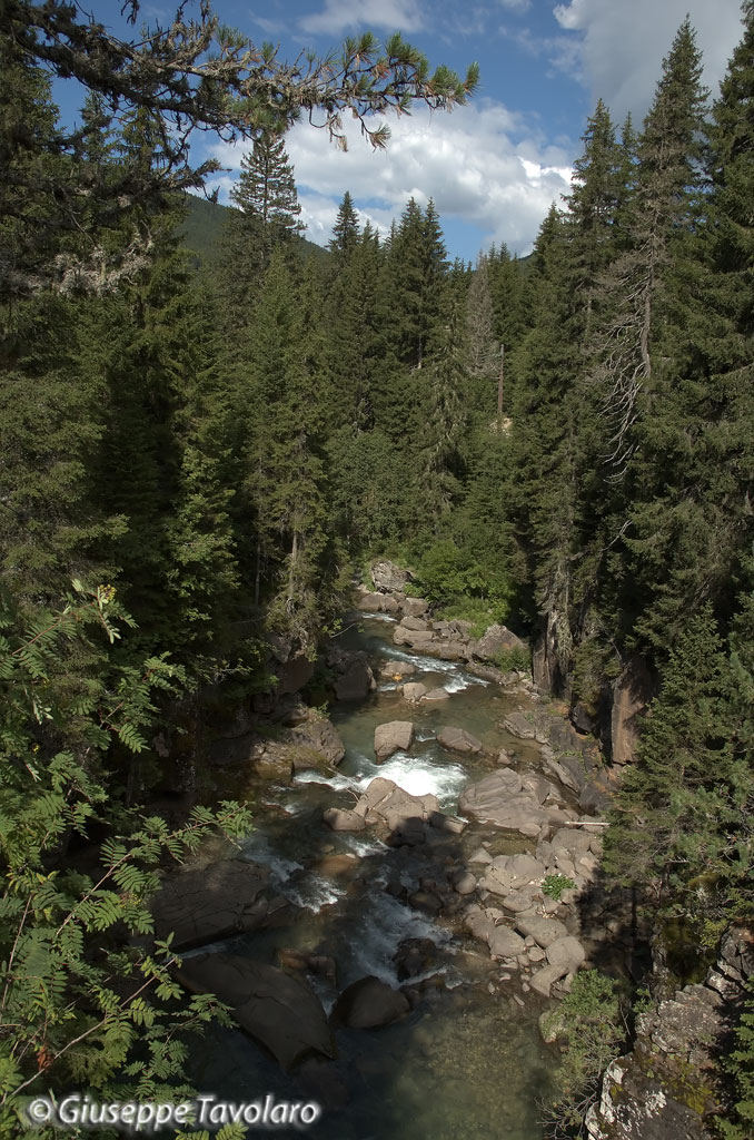 Parco di Paneveggio.