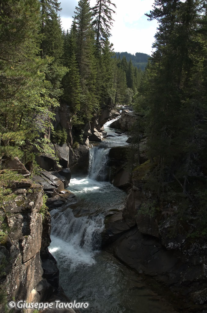 Parco di Paneveggio.