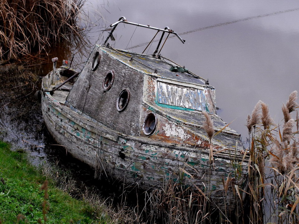 Bonifica di Massaciuccoli....Un Canale.....