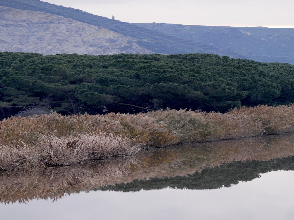 Bonifica di Massaciuccoli....Un Canale.....