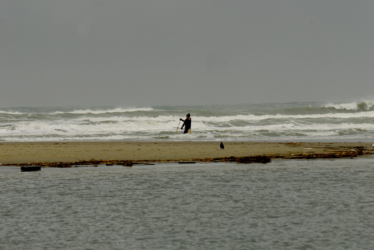 Foce Serchio....Tipi di Pesca....