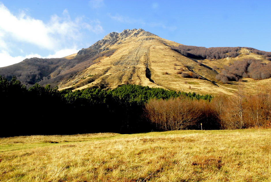 Meglio nascere... fortunati che ricchi.....