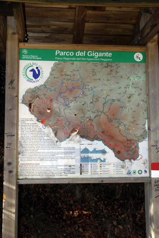 Meglio nascere... fortunati che ricchi.....