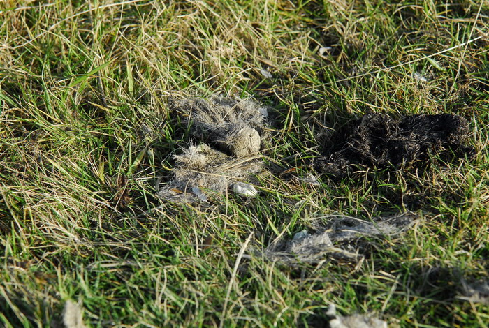 Meglio nascere... fortunati che ricchi.....