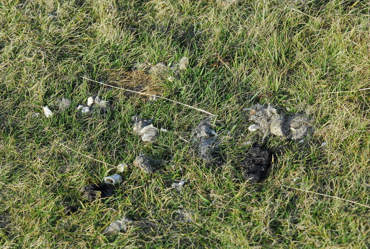 Meglio nascere... fortunati che ricchi.....