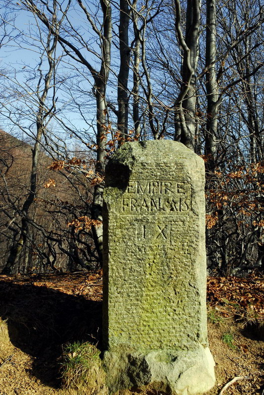 Meglio nascere... fortunati che ricchi.....