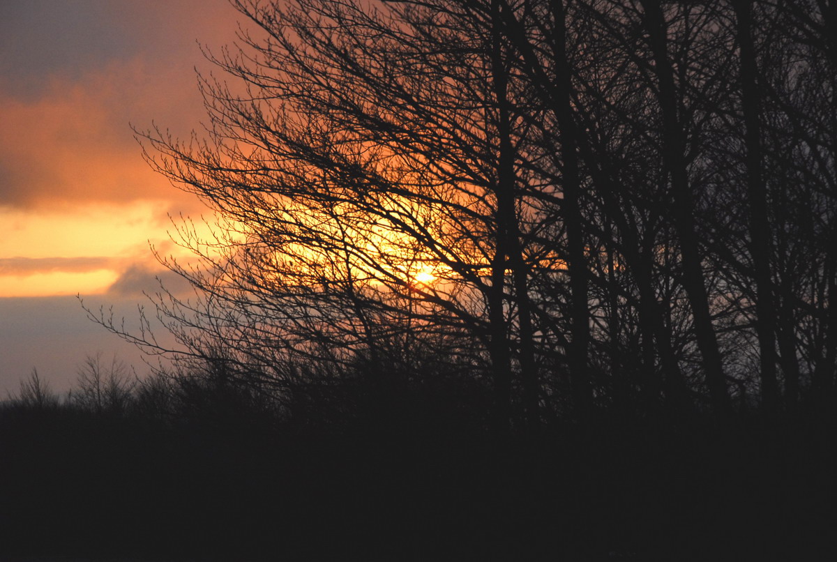 Meglio nascere... fortunati che ricchi.....