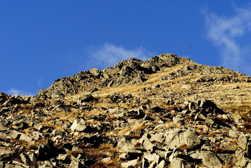 Meglio nascere... fortunati che ricchi.....