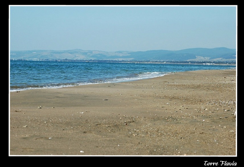 La palude di Torre Flavia