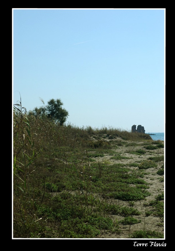 La palude di Torre Flavia