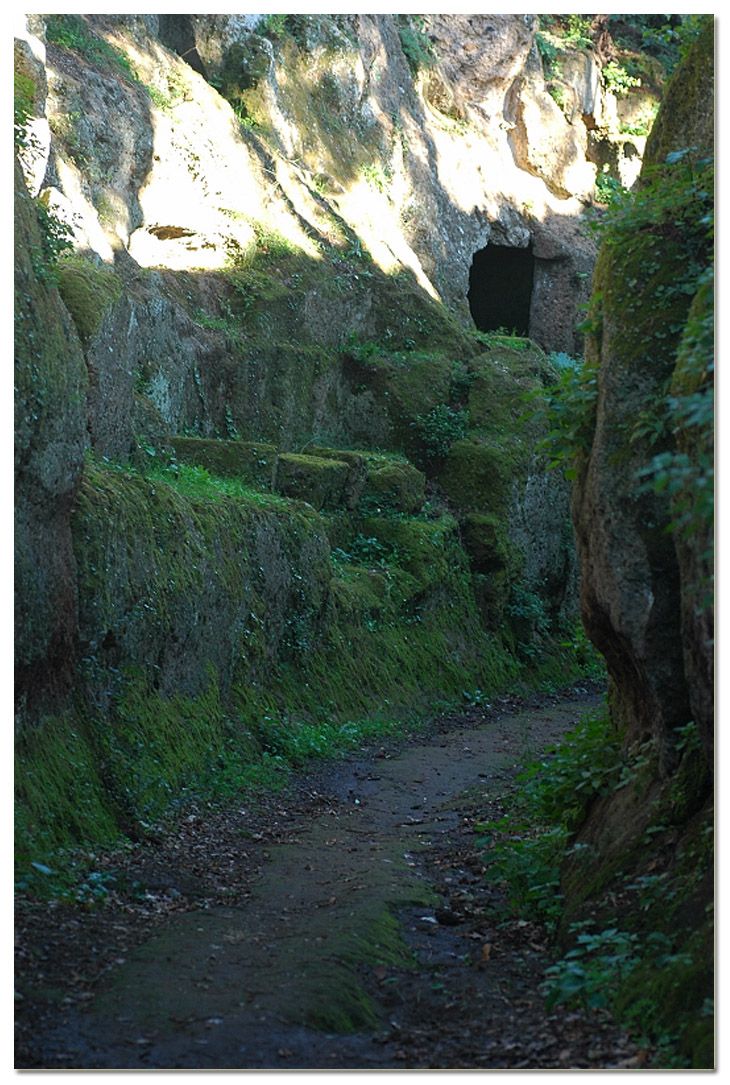 Tra i boschi di Cerveteri