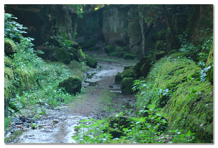 Tra i boschi di Cerveteri