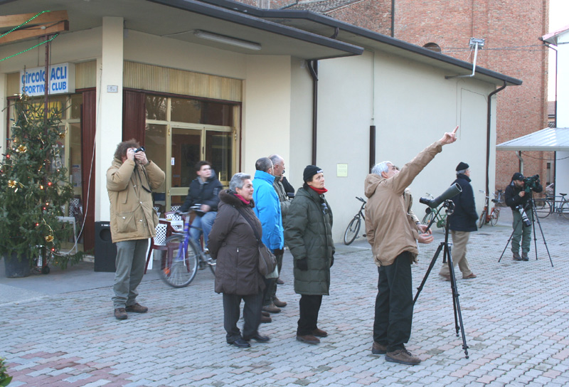 Roost gufi in pericolo ad Ostellato (Fe)