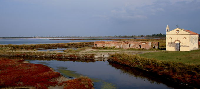 Fenicotteri nel Delta del Po