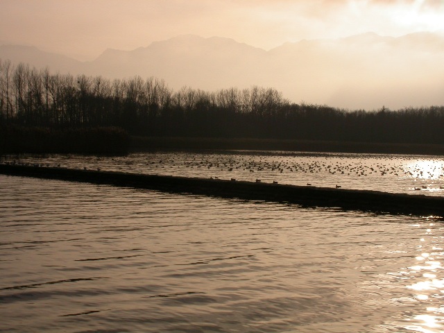 Foto Svizzera