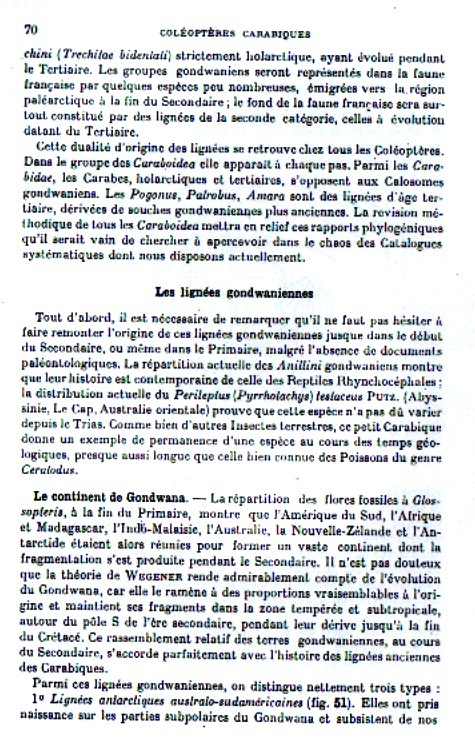 Formazione dell''Italia