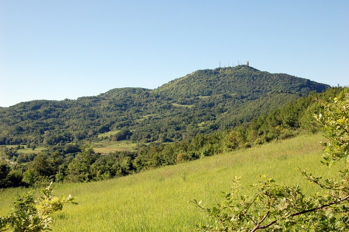 Monte Pallano