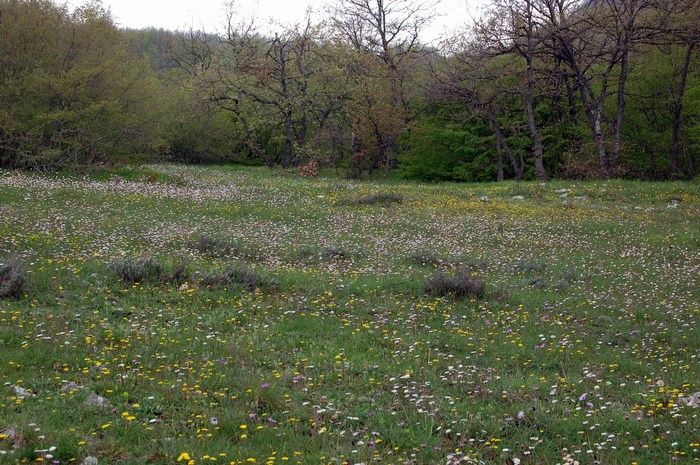 Monte Pallano