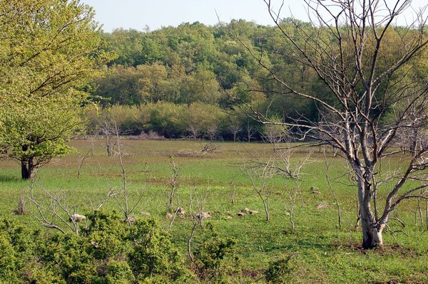 Monte Pallano