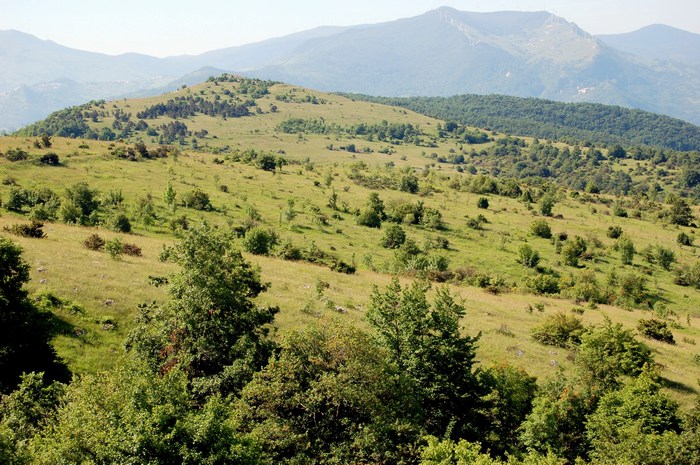 Monte Pallano