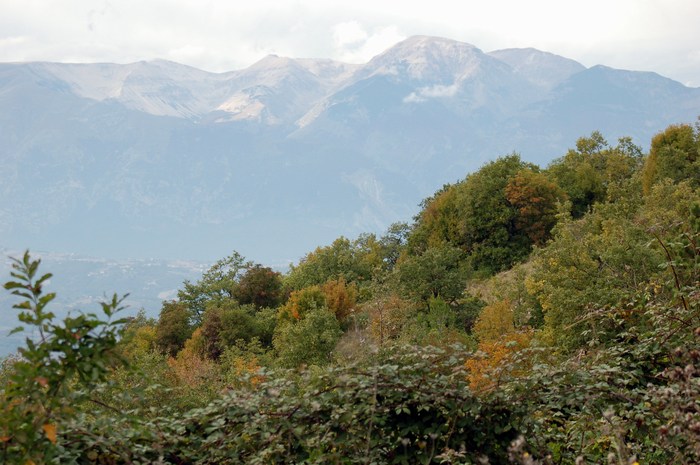 Monte Pallano