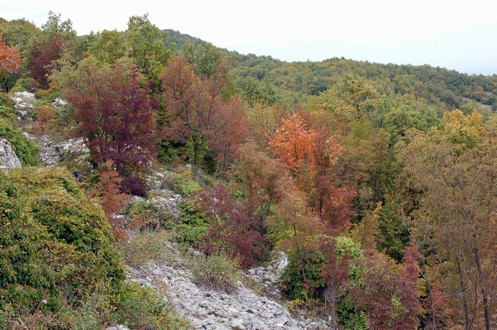 Monte Pallano