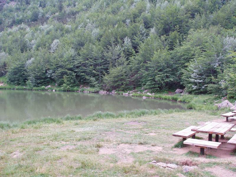 Laghi .......della LIGURIA