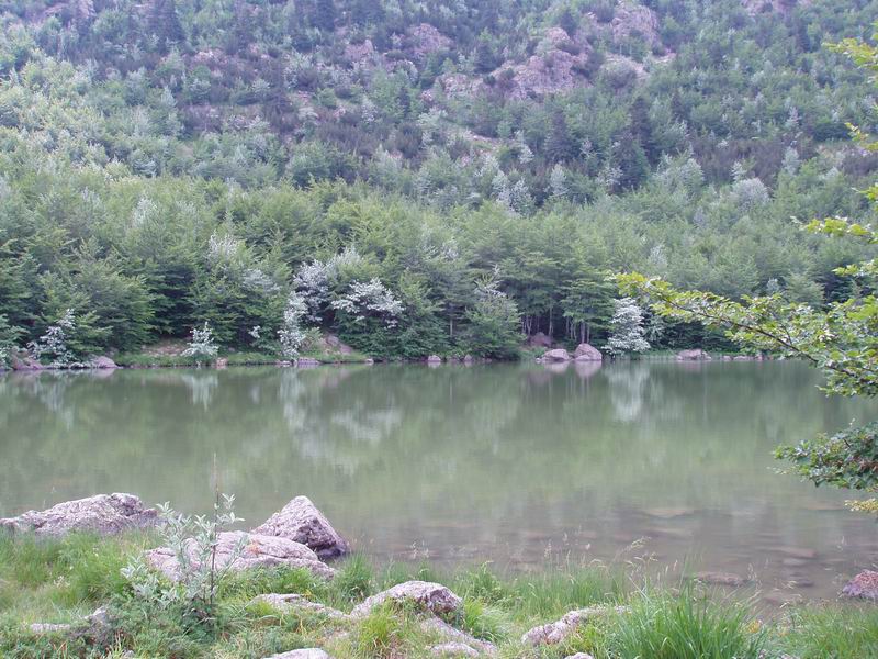 Laghi .......della LIGURIA