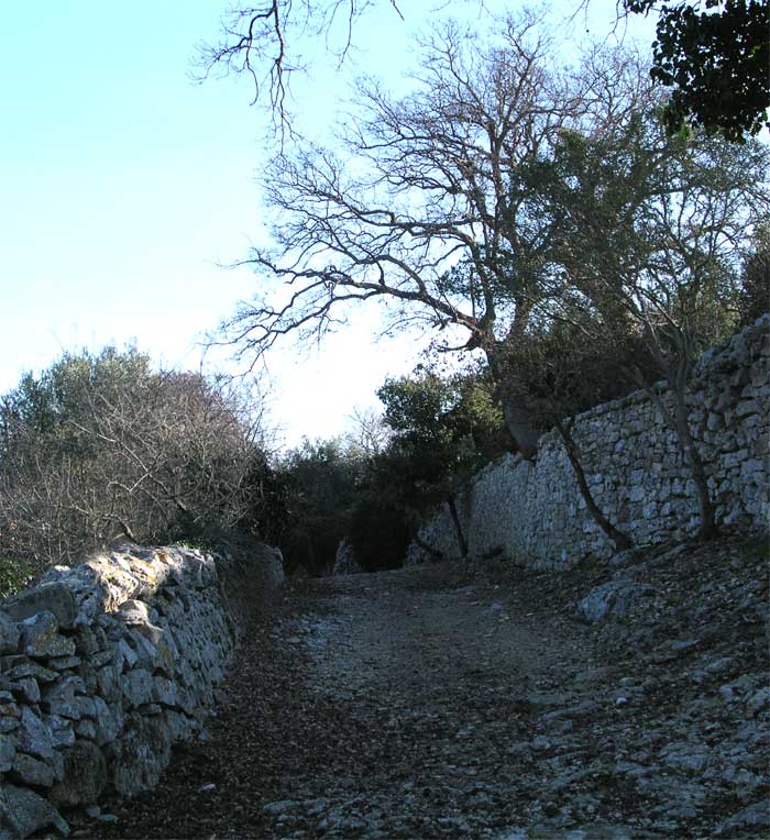 archeologia pugliese