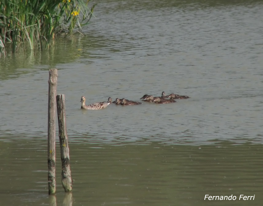 famigliola a passeggio