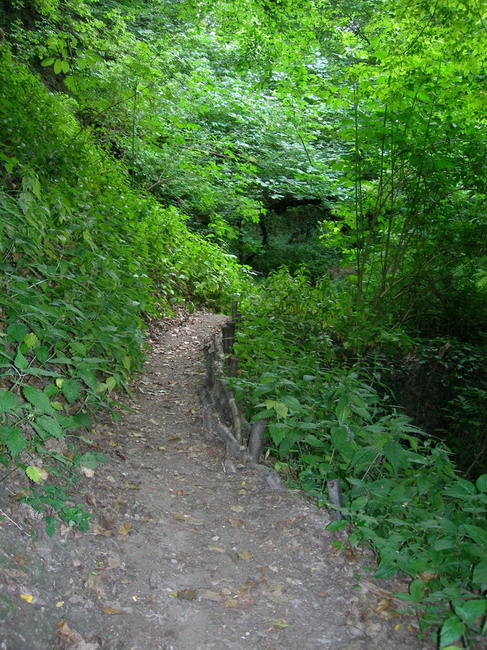 Le foto del Raduno di Monteveglio