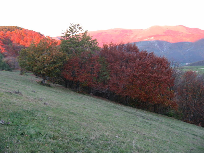 Perdersi nel bosco.....d''autunno