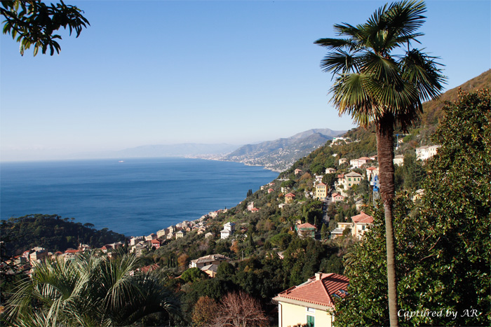 Il golfo ligure